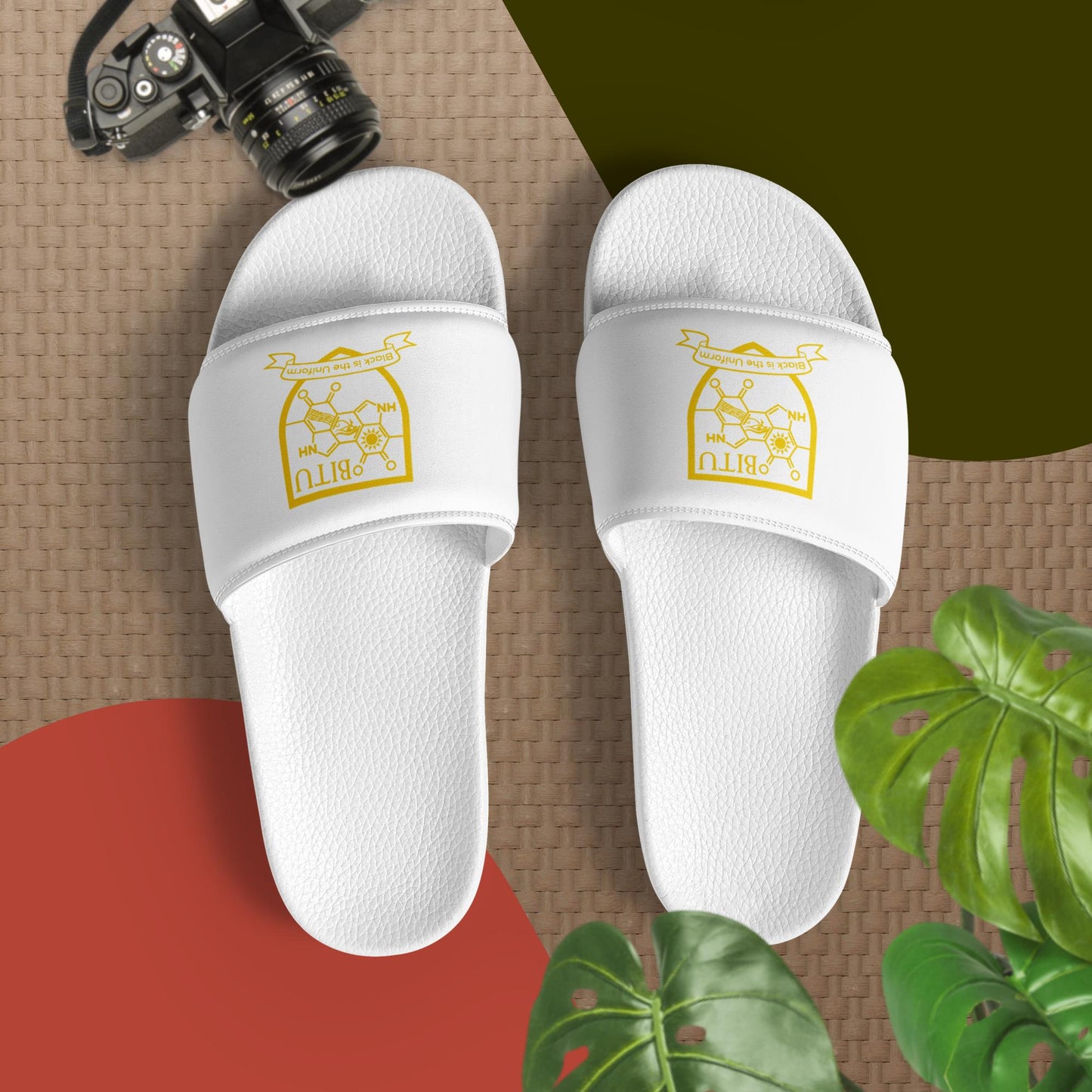 Slip In'em slides