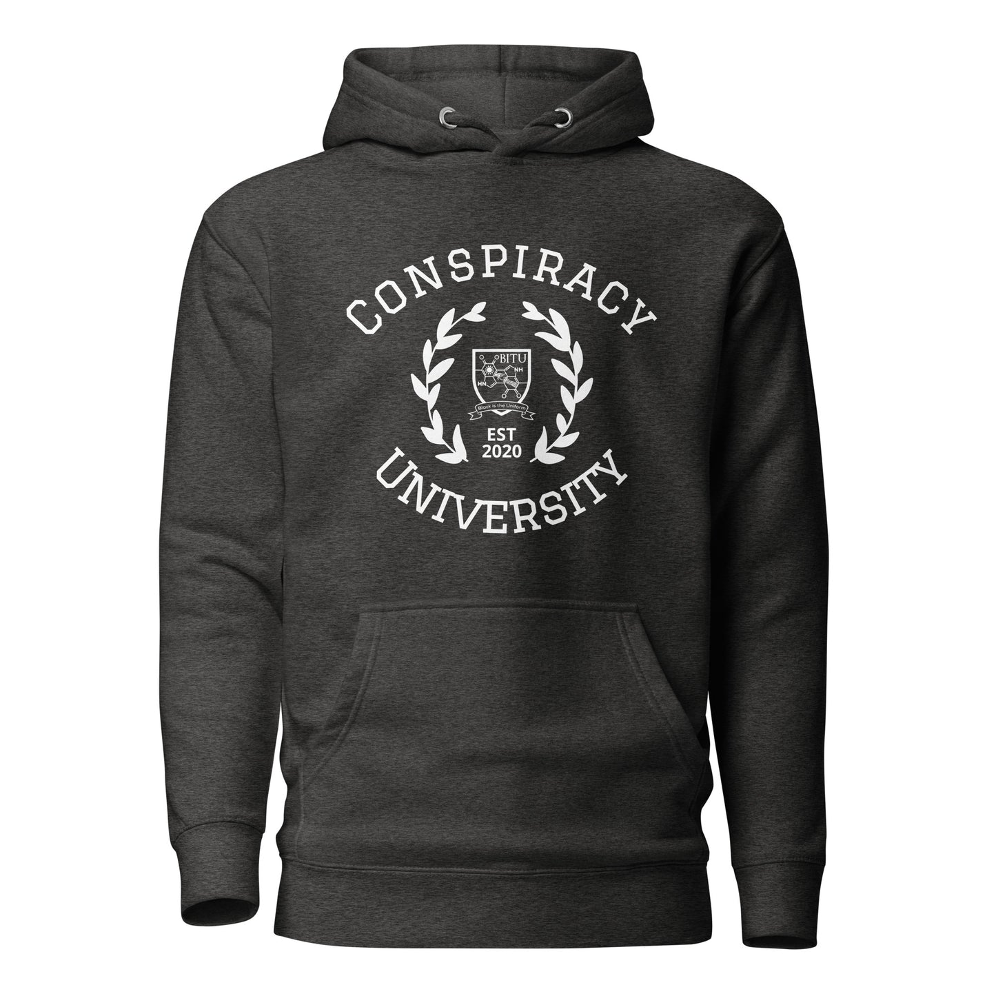 Conspiracy University Hoodie