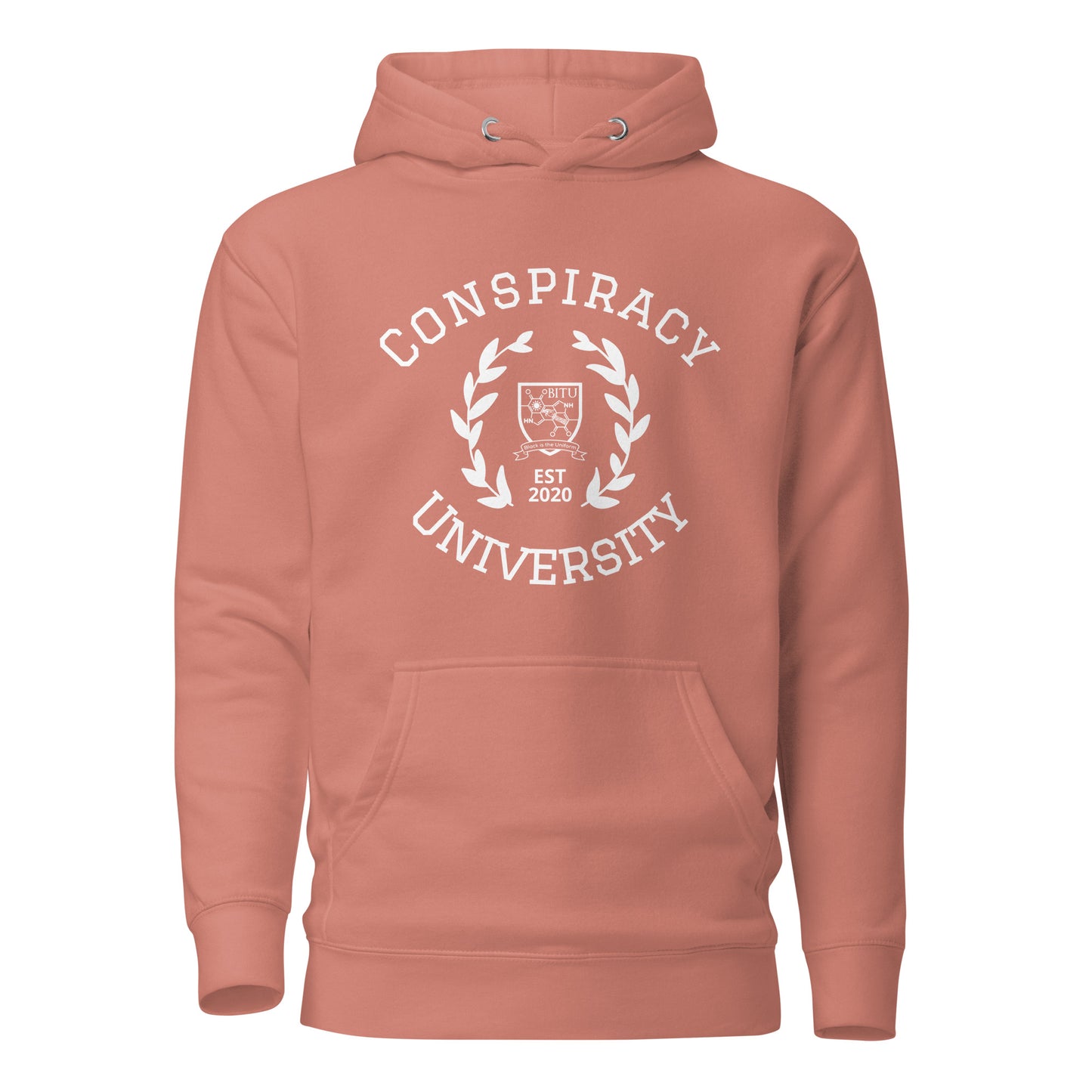 Conspiracy University Hoodie
