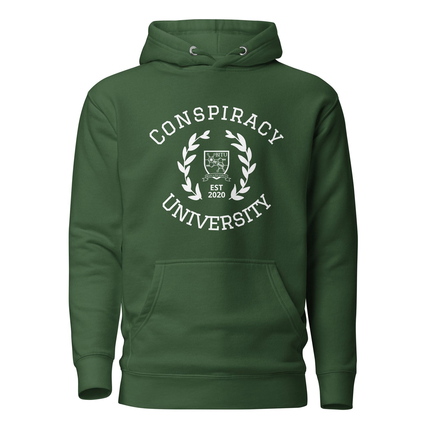 Conspiracy University Hoodie