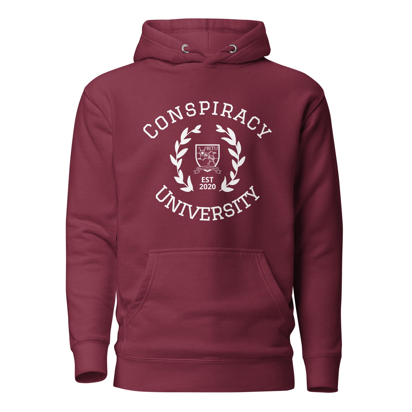 Conspiracy University Hoodie