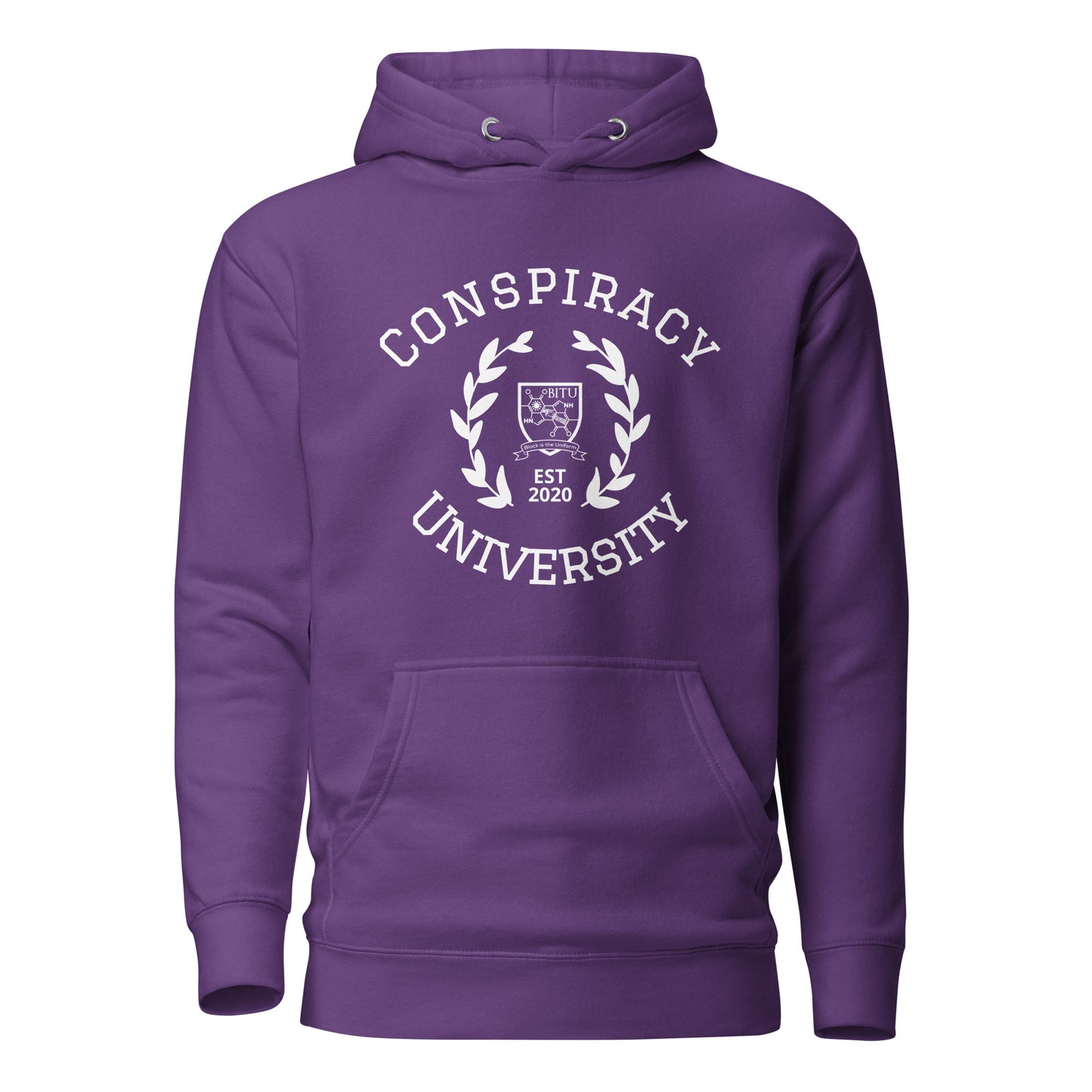 Conspiracy University Hoodie