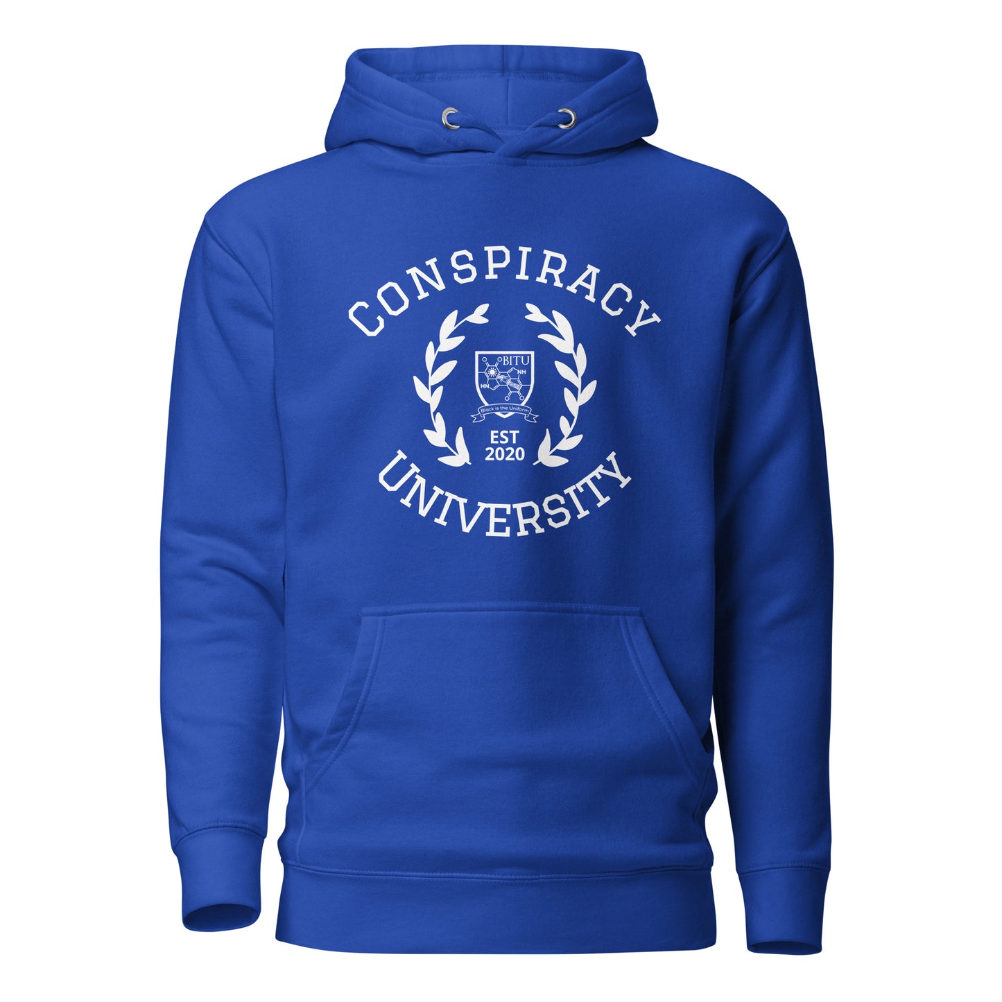 Conspiracy University Hoodie