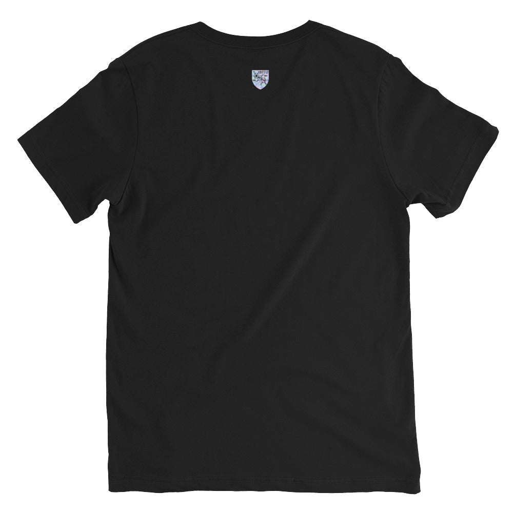 Conspiracy Cat V-Neck T-Shirt